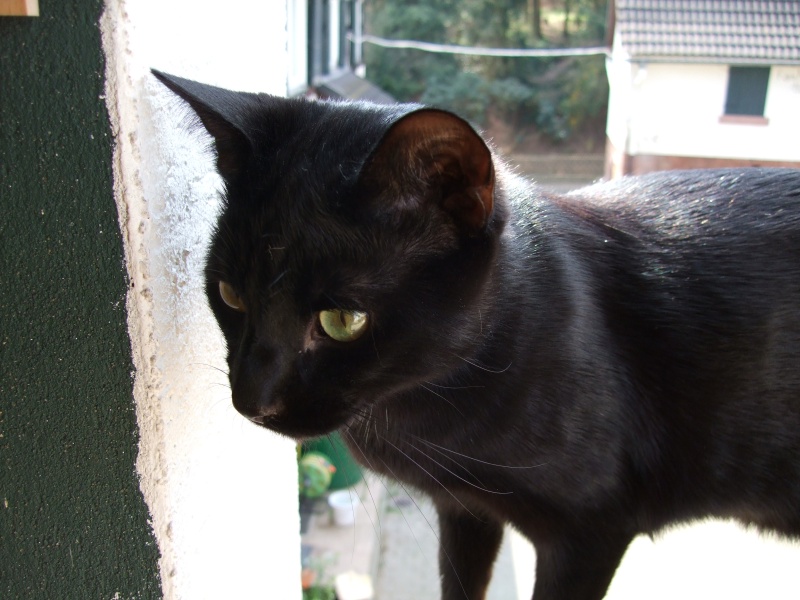 Ostern 2007 Orleshausen 144 